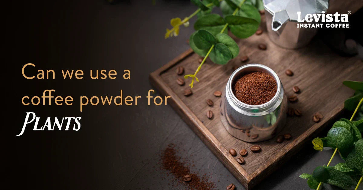Can We Use Coffee Powder for Plants 