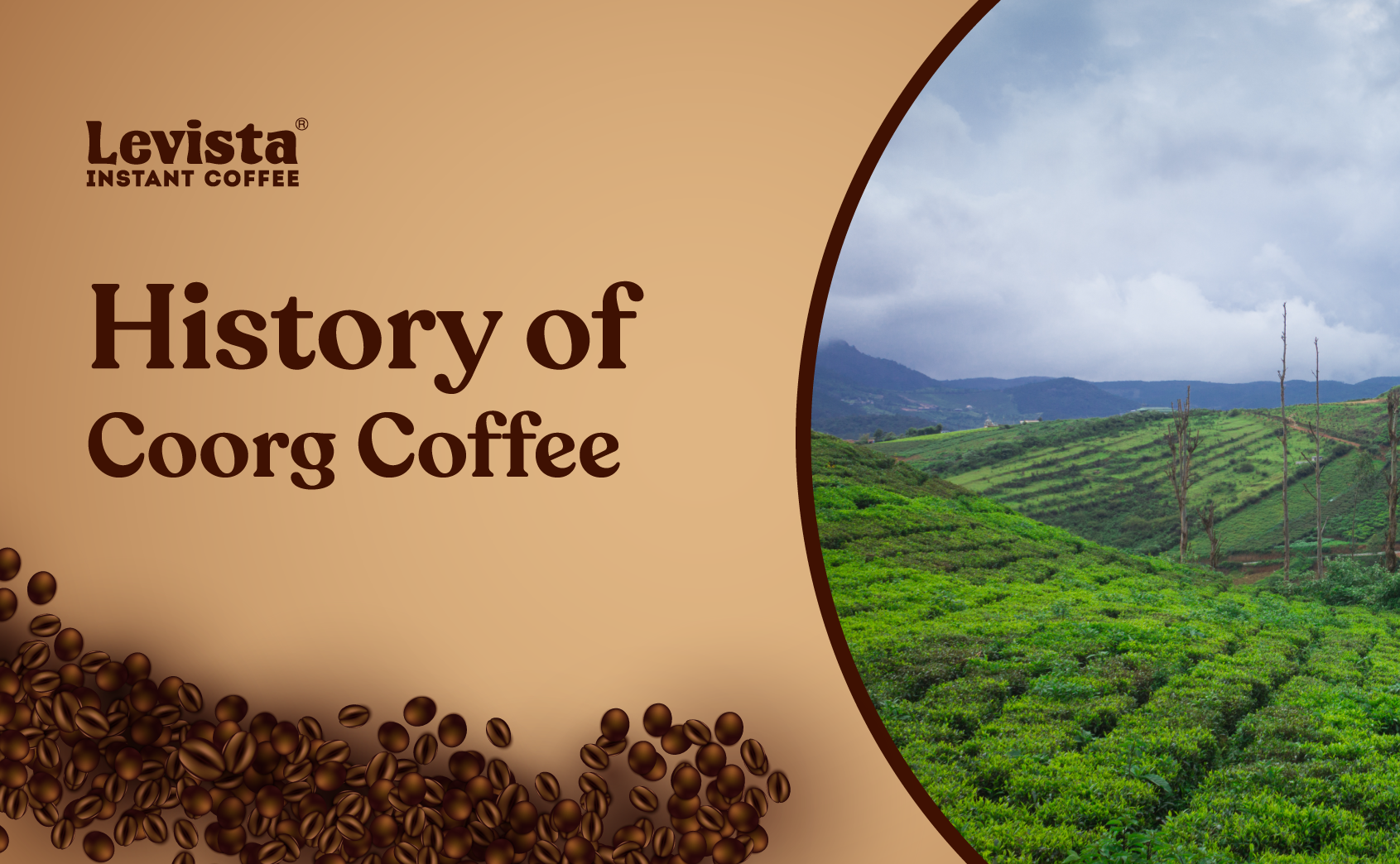 The History Of Coorg Coffee