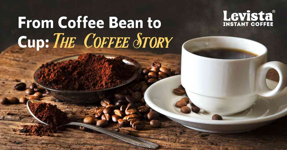 From Coffee Bean to Cup: The Coffee Story