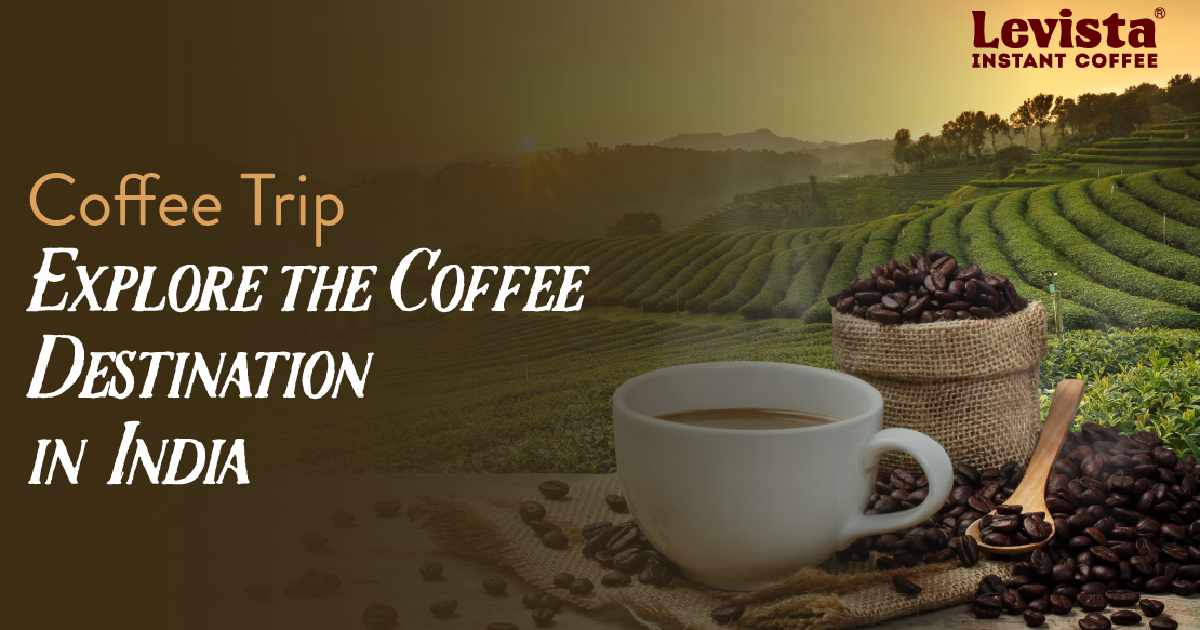 Coffee Trip - Explore the Coffee Destination in India