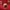 Premium Can 50 g