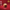 Premium Can 100 g