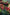 Promotion banner