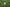 scrolling text